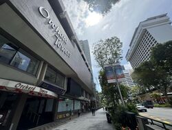 Orchard Towers (D9), Shop House #456041031